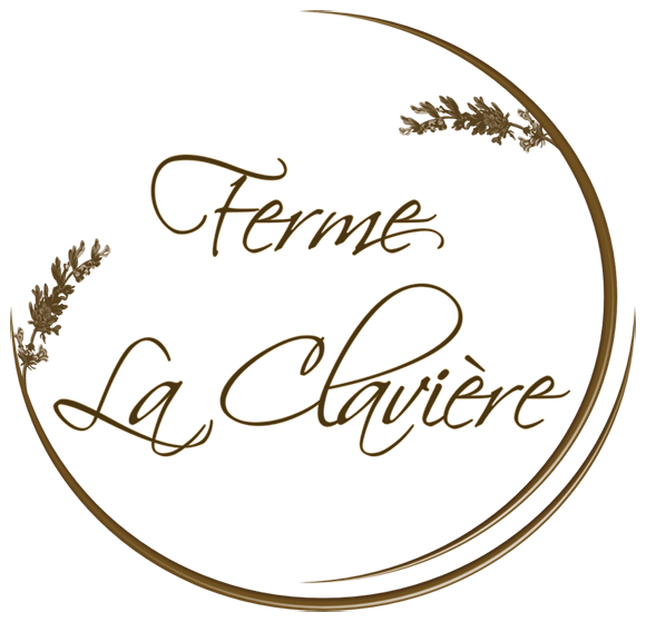 LOGO STYLO