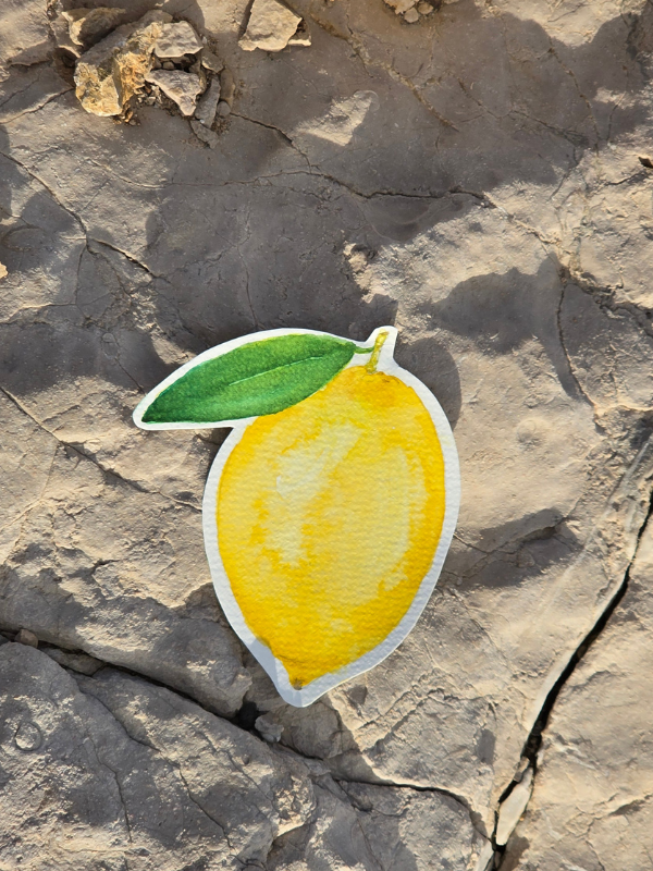 MAISON LIMON