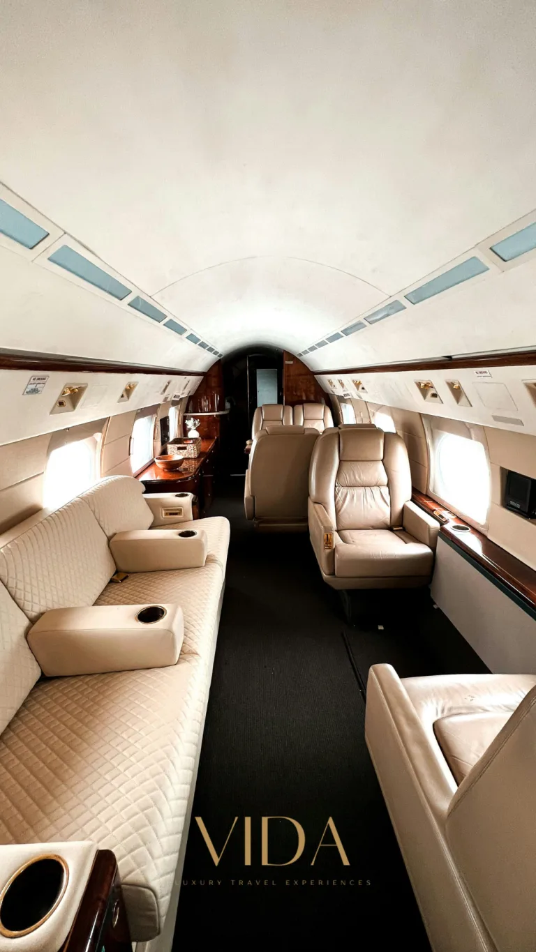 Story de @vida luxury experiences 768x1365